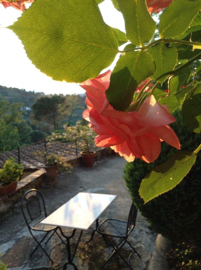 Fiesole In Giardino B&B Extérieur photo